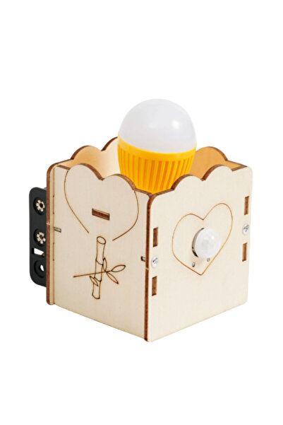 Generic Human motion sensor lamp - an educational experience in the fields of...