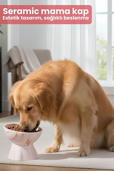 Pawicci Seramik Mama Kabı – Kedi ve Köpekler için Sağlıklı Mama Kasesi - Yükseltilmiş,Ayaklı Mama Kabı