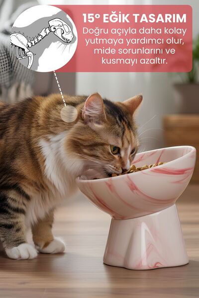 Pawicci Seramik Mama Kabı – Kedi ve Köpekler için Sağlıklı Mama Kasesi - Yükseltilmiş,Ayaklı Mama Kabı