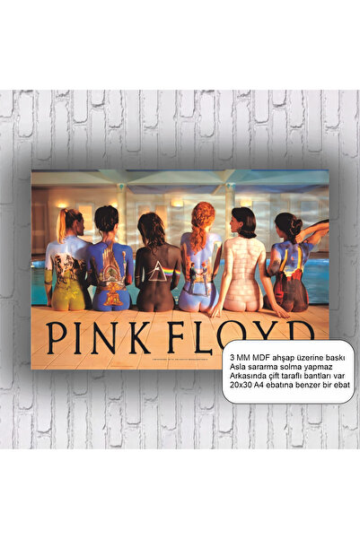 Hayat Poster Rock Music Band Pink Floyd Poster Home Decoration Mdf Painting R...