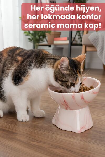 Pawicci Seramik Mama Kabı – Kedi ve Köpekler için Sağlıklı Mama Kasesi - Yükseltilmiş,Ayaklı Mama Kabı
