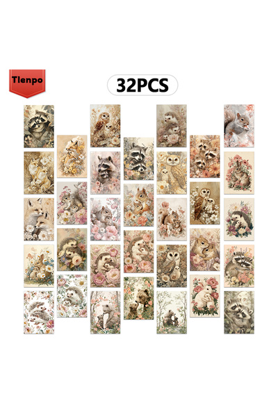 Choice مجموعة بطاقات بريدية متنوعة الألوان (32 قطعة) - مجموعة بطاقات بريدية ل...