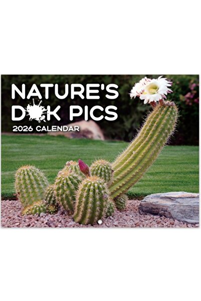 Choice تقويم 2026 قطعة واحدة، تقويم الصبار، تقويم مقالب الصبار مع 12 رسمة صبا...