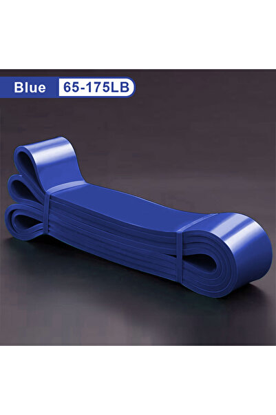 Choice Blue 65-175LB Resistance Bands, Pull Up Assistance Bands, Exercise Ban...