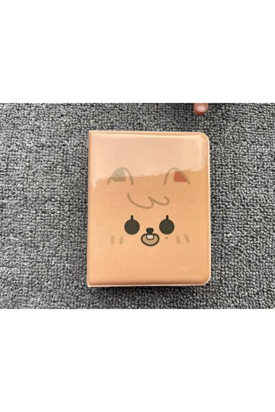 choice2 ألبوم صور كاس-زونغ شيونغ ستاي، لي لونغفو فانغ، كان ستراي تشيلدرن، إس ...