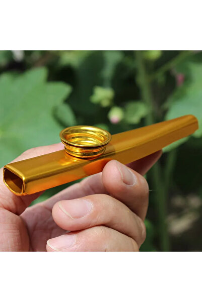 Choice4 H Metal Kazoos Lightweight Kazoo Flute Lightweight Harmonica Mouth Fl...