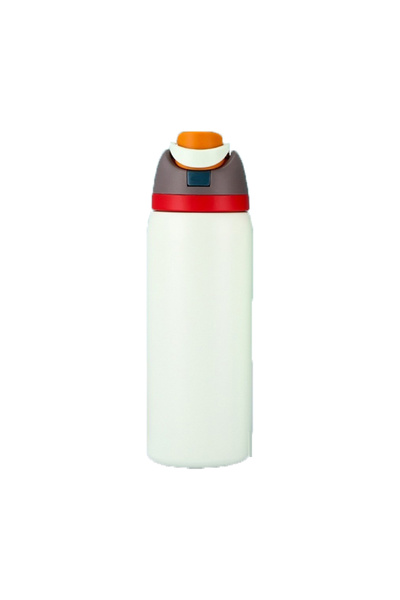 Choice 19OZ Greyish white JUSTINLAU Spot Goods 19/24/32oz Thermos Cup Fruit M...