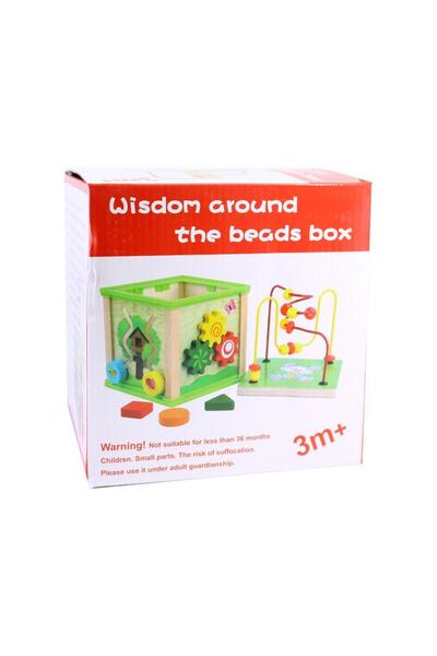 Montessori Joc de motricitate fină