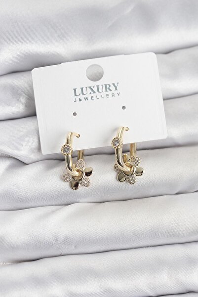 Inure Jewelry Zircon Stone Brass Women's Migrant Earrings