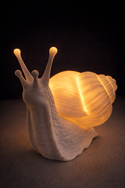 Exyrio Işıklı Salyangoz Gece Lambası | 3D Baskı Dekoratif Masa Lambası | Orta...