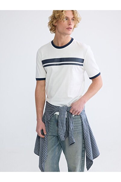 LC Waikiki Xside Crew Neck Striped Men's T-Shirt