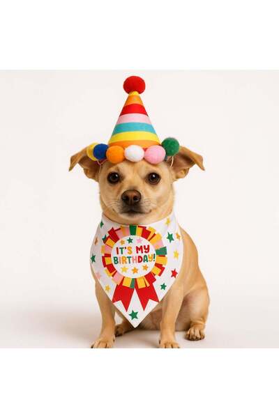 OEM Set aniversar pentru caini, contine coif si bandana cu mesaj „Happy Birth...