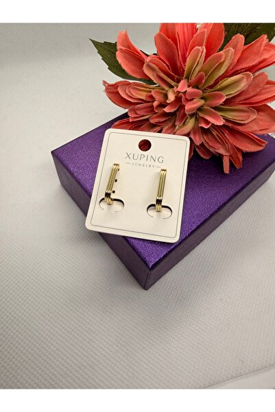 XUPING JEWELRY KUYUMCU SERİ 14K RENGİ ÇİZGİLİ HALKA ÇELİK KÜPE