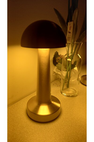 Depo eşya dükkanı 💡 Masa üstü şarzlı lamba