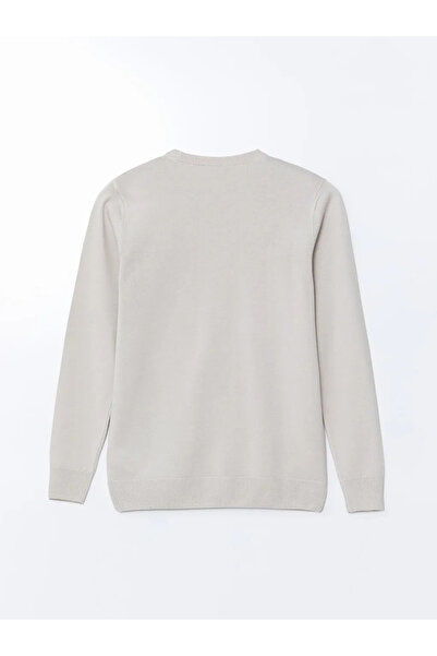 LC Waikiki Crew Neck Basic Men's Knitwear Sweater