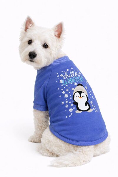 DOGİ&DOG Small Breed Hello Winter Dog Outfit Dog Sweati (1-10kg)
