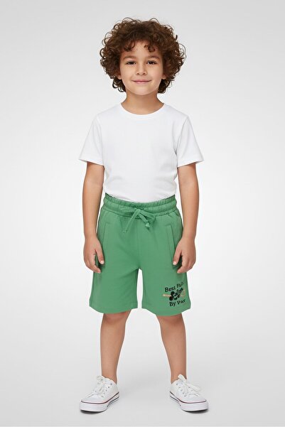 Disney Toddlers Boy Drawstring Graphic Print Basic Shorts, Green