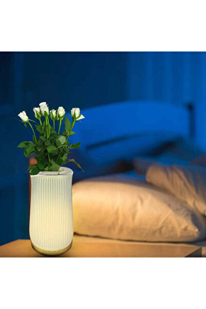 hocc 2 in 1 Table Lamp & Flower Vase - Line Design