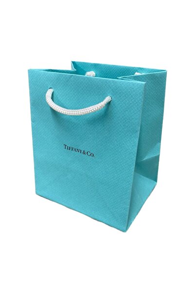 Tiffany & Co, & Co., Shopping, GWP Cardboard Bag, Green, Size S