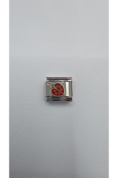 ahsenaksesuar2025 Paslanmaz Çelik İtalyan Bileklik Uyumlu 316 Ayar Uğur Böceğ...