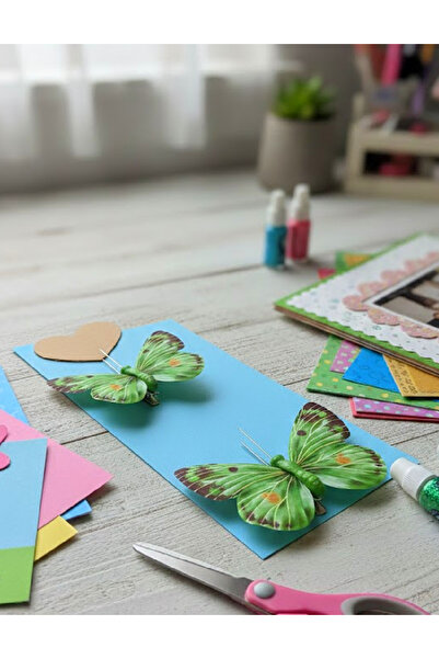 Evendi Accessory, Green