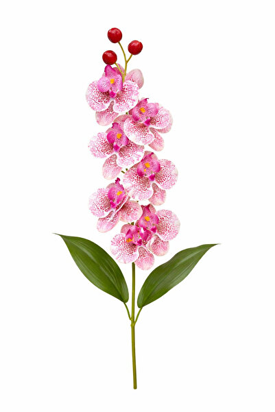 OEM Orhidee artificială elegantă, verde deschis cu accente violet, 6 flori, 6...