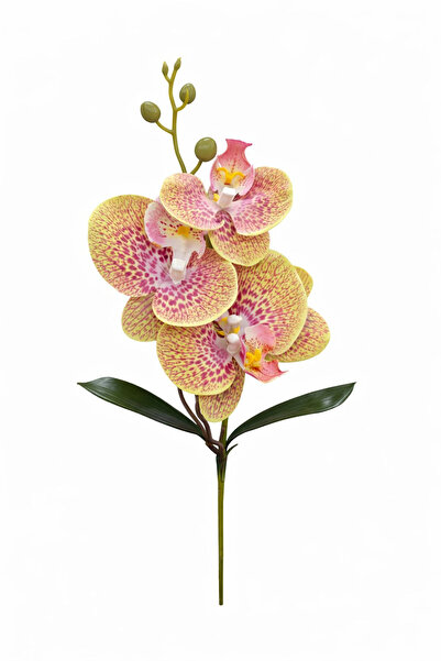 OEM Orhidee artificială cu 3 flori cu boboci și frunze, 37 cm, verde tigrat, ...