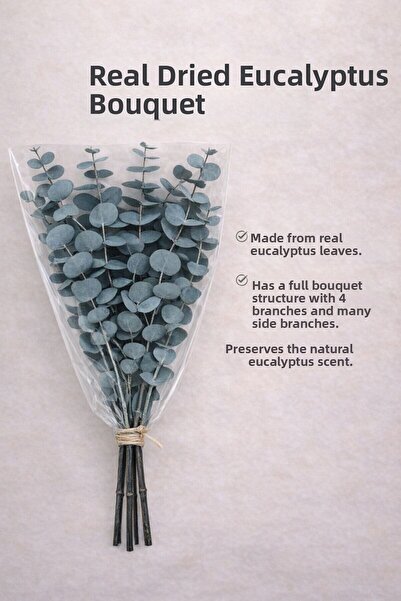 Bontia حزمة الأوكالبتوس الأخضر الطبيعي - أوكالبتوس حقيقي، حزمة أوكالبتوس كبير...