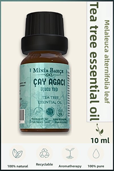 Minia Bahçe Bitki ve Sanat Atölyesi زيت شجرة الشاي 10 مل – نقي وطبيعي 100%