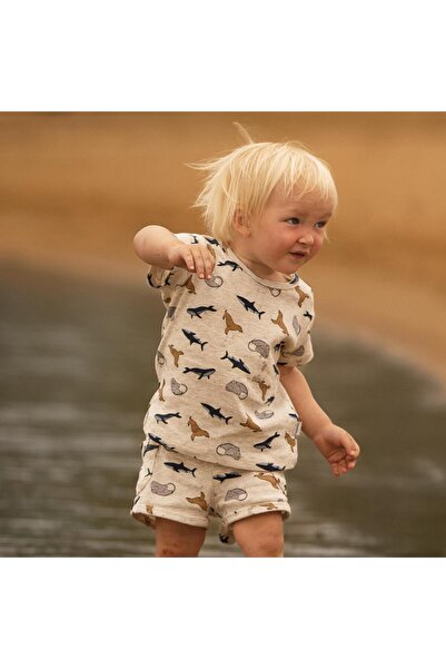 Antebies Organic Gray Melange Sea Life Patterned Short Sleeve Boys Baby Tshirt