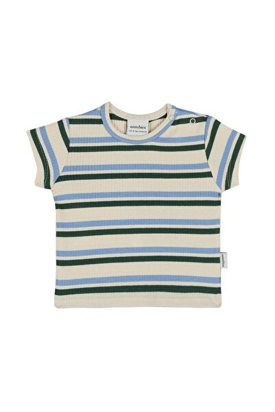Antebies Organic, Beige Green Blue Striped, Short Sleeve Baby Boy T-Shirt