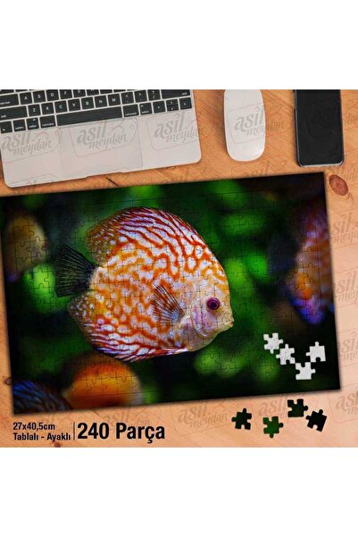 Asilmeydan Asil Hobi Süs Balığı - Okyanus - Doğa -Canlı Yapboz -Ayak Destekli...