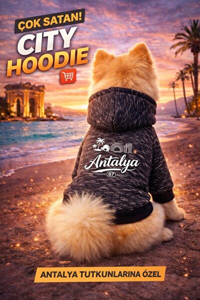 PetiliDünya Şehir serisi şapkalı köpek sweat kedi sweat şardonlu city serisi