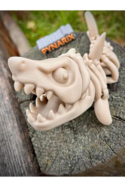 pynarix هيكل عظمي لمegalodon - تذكار أحفوري للعصر تحت الفك 🦈 🦴 🌊 لعبة عضوي...