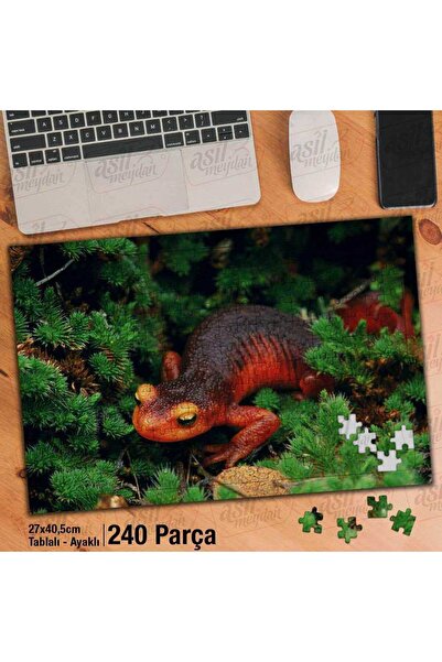 Genel Markalar Asil Hobi Amazon - Kertenkele - Vahşi Yaşam Doğa Yapboz - Ayak...