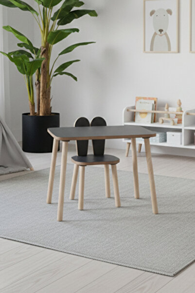 AlfaCountry Mobilya Montessori Çocuk Çalışma Aktivite Masası ve 1 Sandalye Se...