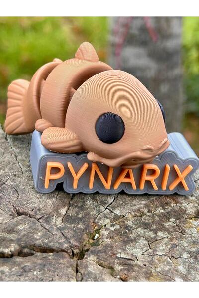 pynarix Oyuncak Kedi Balığı - Derin Denizlerin Gizemli Dostu!😺+🐠🌊 3D Harek...