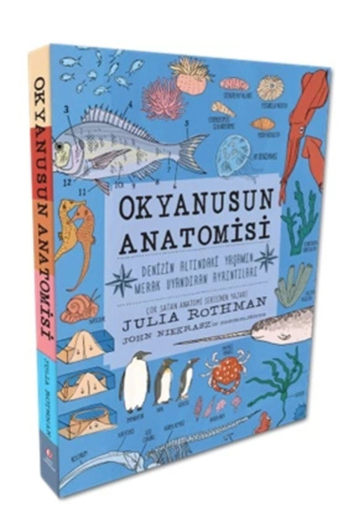 İthaki Yayınları Okyanusun Anatomisi