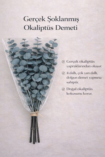 Bontia Doğal Yeşil Okaliptüs Demeti – Gerçek Okaliptüs, Şoklanmış Büyük Okali...