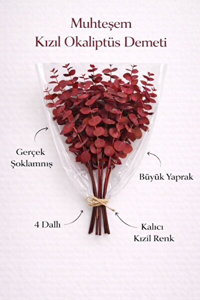 Bontia حزمة الأوكالبتوس الحمراء الحقيقية المصدمة |   الكينا الطبيعية للزينة