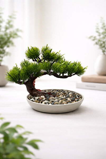 Lineva Dekoratif Tabakta Bonsai Ağacı – Ev & Ofis Masa / Raf Dekoru