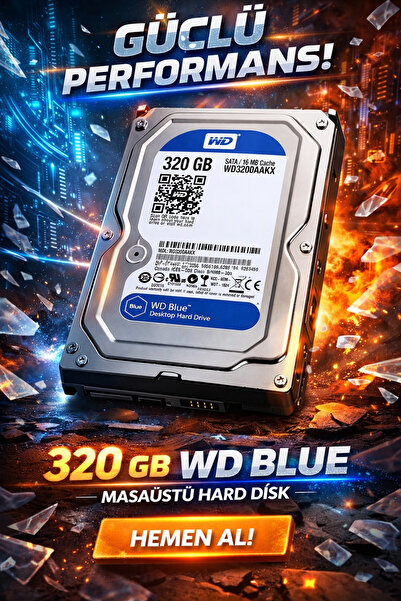 WD 320 Gb Hard Disk
