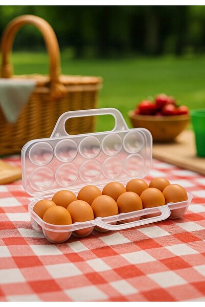 Sungroup 12x Egg Storage and Carrying Case, Transparent