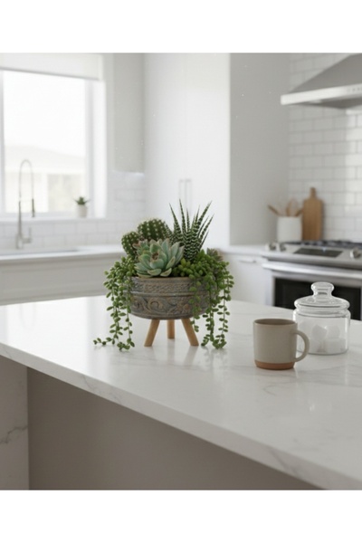 Home Ahşap Ayaklı Sukulent ve Kaktüs Saksısı