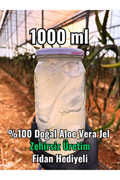 FidanBudur Aloe Vera Gel, Aloe Vera Jel, Doğal 1000 Ml, Zehirsiz Üretim, Alov...
