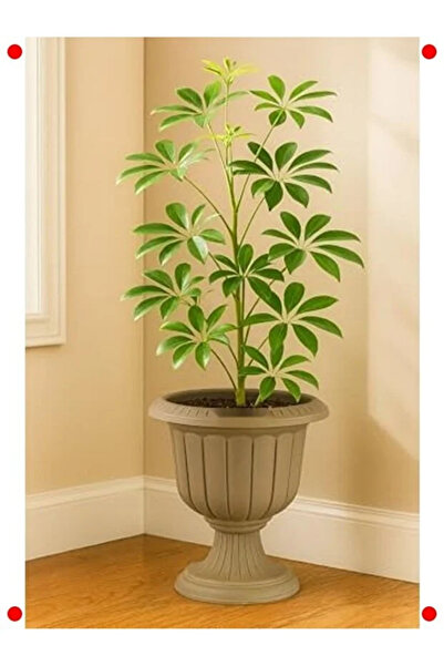 SERİNOVA Nergiz Saksı Kiremit Dekoratif Saksı 9.8 lt