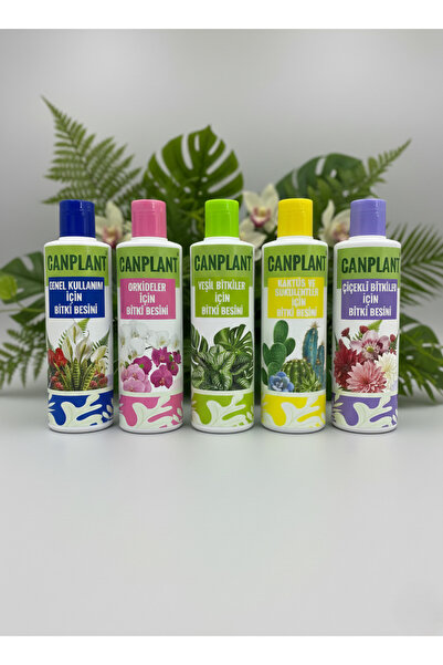 CANPLANT 5'Lİ BİTKİ BESİNİ (orkide-kaktüs , sukulent-çiçekli-yeşil-genel)