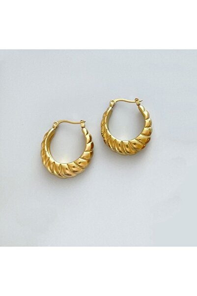 nerora Non-Tarnish Steel Gold Line Curved Earrings