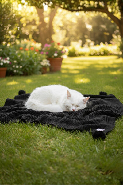 Miespiga بطانية تريكو منسوجة من قماش كوكو رايسي مع شال للأريكة