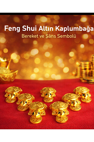 MoonArt تميمة فنغ شوي للثراء والبرودة